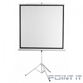 Digis Kontur-D [DSKD-1105] Экран на штативе, формат 1:1, 100&quot;, 186x189, рабочая поверхность 180x180, MW