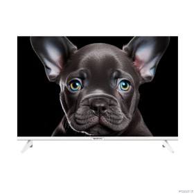 Topdevice 24" TDTV24CS08H_WE/HD/VA/Smart SalyutTV/1-8Gb/BT/белый