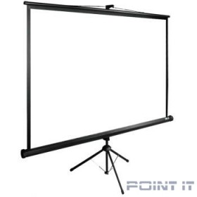 Экран Cactus TriExpert CS-PSTE-180x180-BK Экран 180x180 см 1:1 напольный рулонный