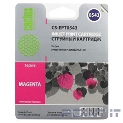 Cactus C13T05434010 Картридж струйный CS-EPT0543 пурпурный для Epson Stylus Photo R800/ R1800 (16,2ml)